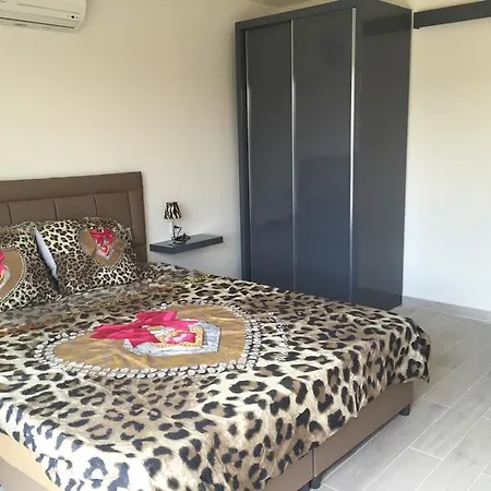 Turq Oase Case de vacanță *